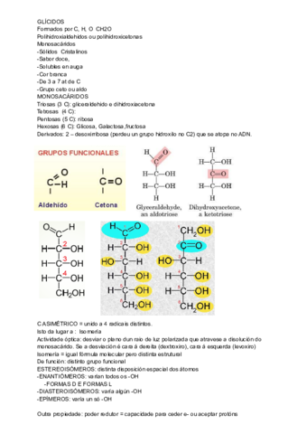 GLICIDOS-2.pdf