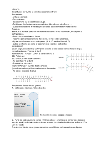 LIPIDOS-2.pdf