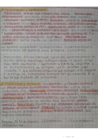 Factores-patogenicidad-en-bacterias-3.pdf