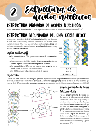 Tema-2.pdf