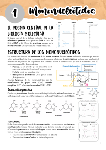 Tema-1.pdf