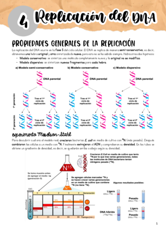 Tema-4.pdf