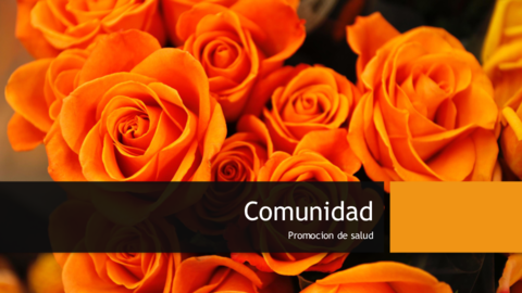 Comunidad-expo-damaris.pdf