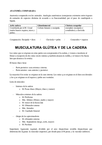 4. MMII (II).pdf