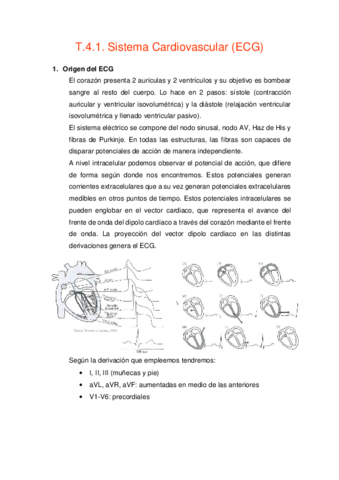 Apuntes-Senales-1.pdf