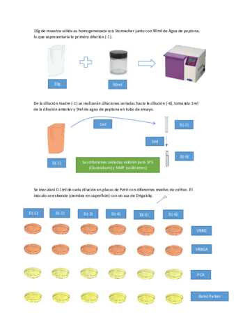 Practicas-de-higiene-II.pdf