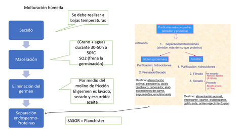 Molturacion-HUMEDA.jpg