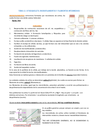 TEMAS-13-25.pdf