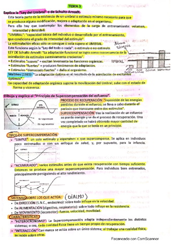 preguntas-examen-fundamentos-Alvaro.pdf