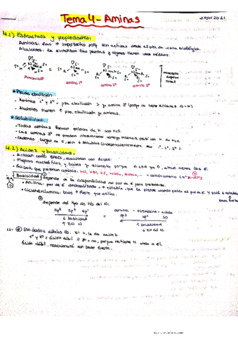 RESUMEN-TEMA-4-AMINAS-Q.pdf