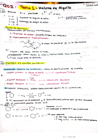 RESUMEN-TEMA-1-HALUROS-DE-ALQUILO-Q.pdf