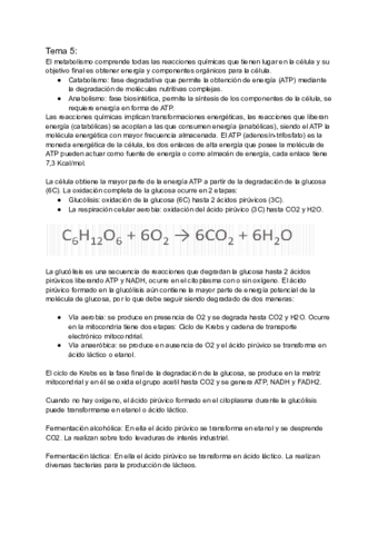 Tema-5-Metabolismo-energetico-Respiracion-celular.pdf