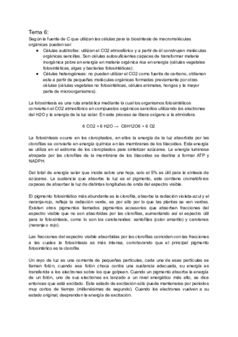 Tema-6-Fotosintesis-En-Plantas-C3.pdf