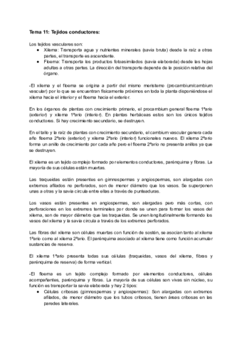 Tema-11-Tejidos-Conductores.pdf