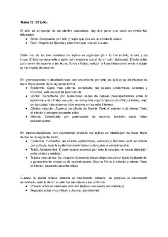 Tema-12-El-Tallo.pdf