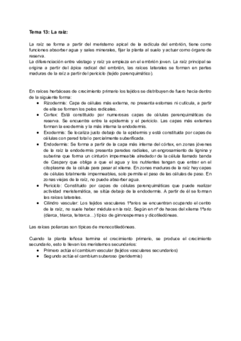 Tema-13-La-Raiz.pdf
