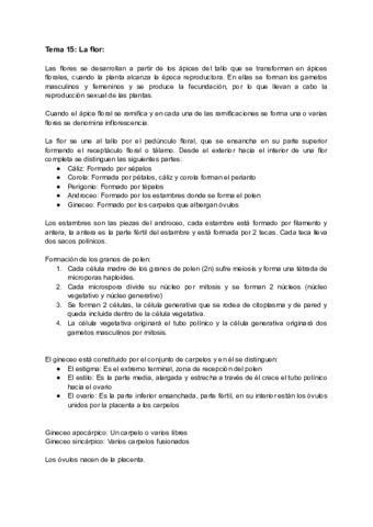 Tema-15-La-Flor.pdf
