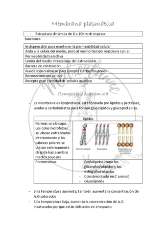 Membrana-plasmatica.pdf