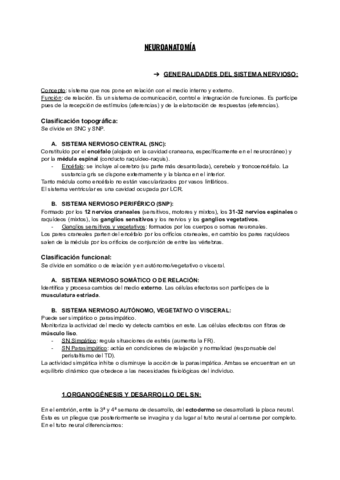 NEUROANATOMIA.pdf