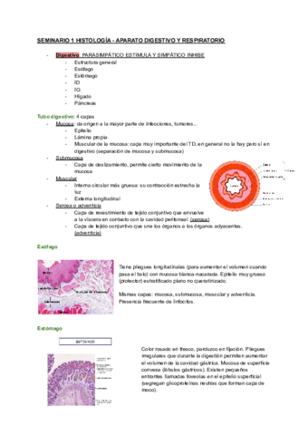 Seminarios-Histologia.pdf
