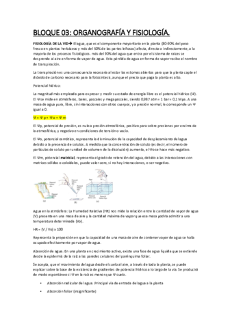 Bloque3Viticultura.pdf