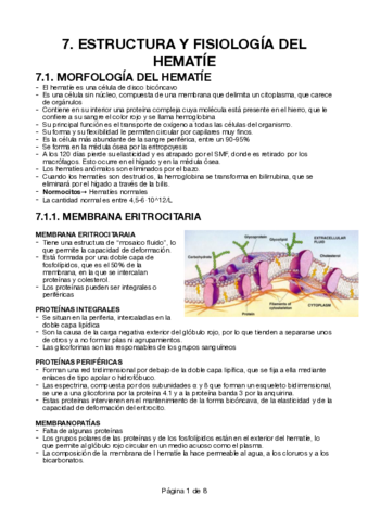 7-Estructura-y-fisiologia-del-hematie.pdf