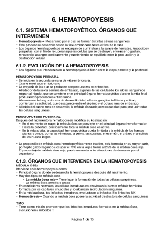 6-Hematopoyesis.pdf