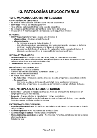 13-Patologias-leucocitarias.pdf