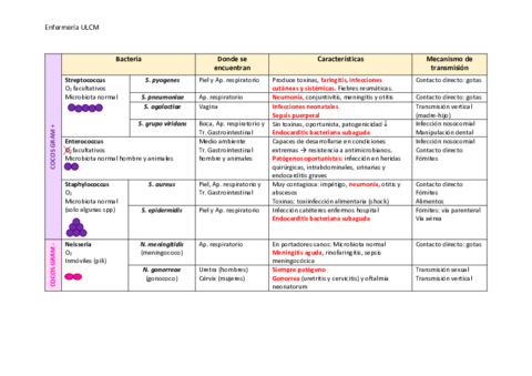 Esquema-bacterias.pdf