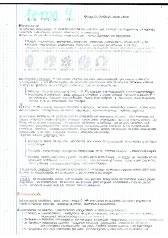 TEMA-4-GENERAL.pdf