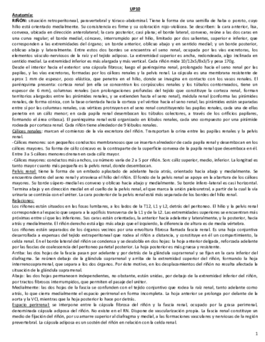 UP10-injuria.pdf