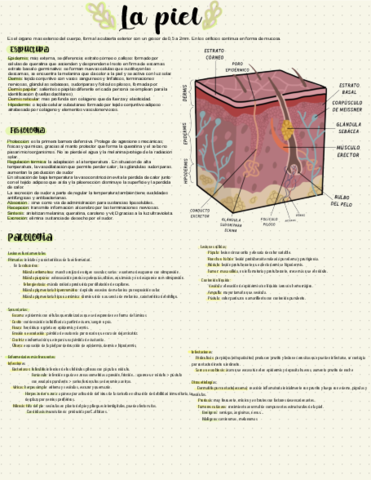 La-piel.pdf