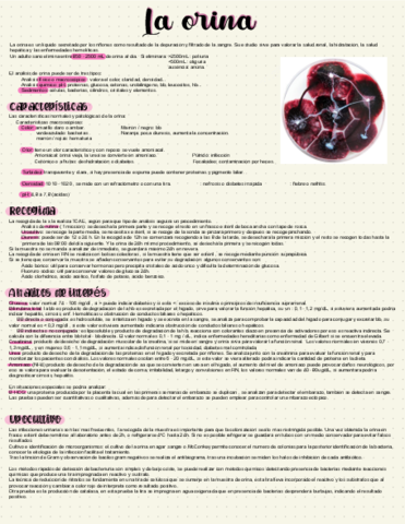 La-orina.pdf