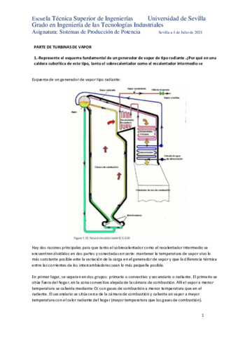 Examen-SPP-2a-Conv-Jul-2021-.pdf