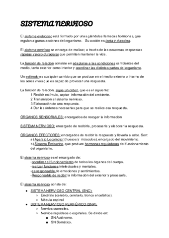 SISTEMA-NERVIOSO-Y-ENDOCRINO.pdf