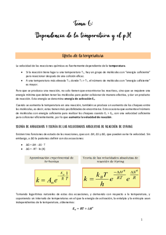 TEMA-6.pdf