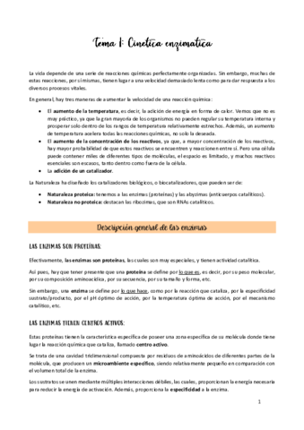 TEMA-1.pdf