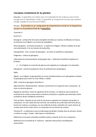 metabolismo-glucidos.pdf