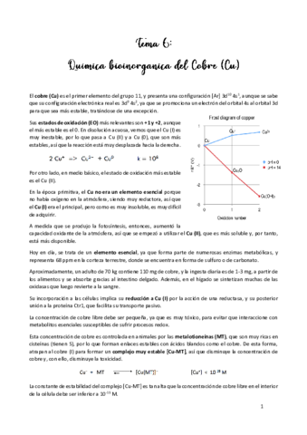 TEMA-6.pdf