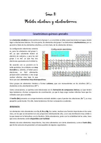TEMA-11.pdf