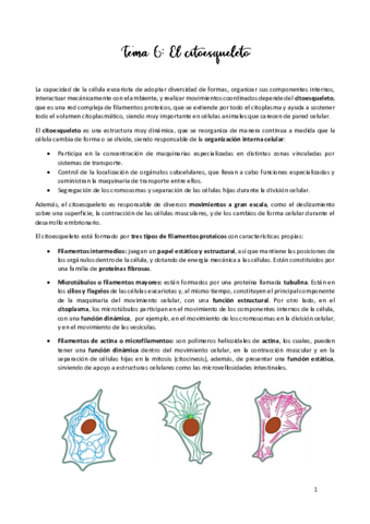 TEMA-6.pdf