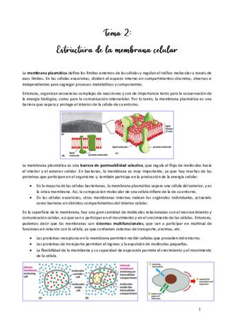 TEMA-2.pdf