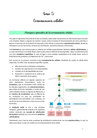 TEMA-5.pdf