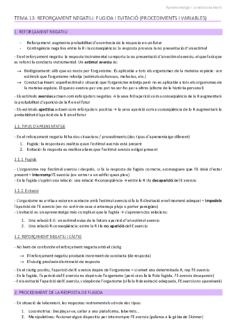 apunts-tema-13.pdf