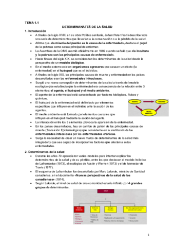 1.1 Determinantes de la salud