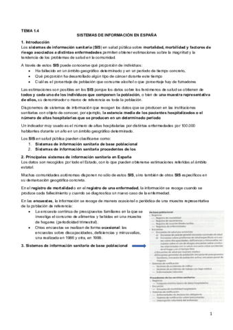 1.4 Sistemas de información en Spain