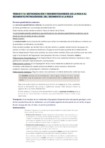 TEMAS-5-Y-6-METEORIZACION-Y-SEDIMENTOGENESIS.pdf