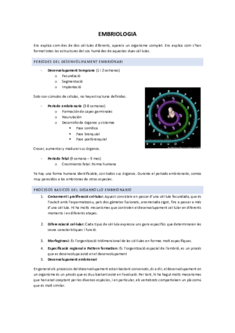 Embriologia-Tema-1.pdf