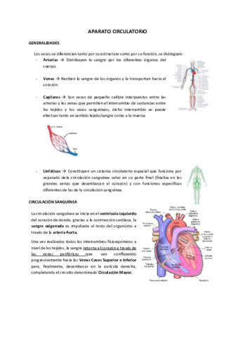 Sistema-Circulatori.pdf