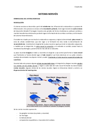 Sistema-Nervios.pdf